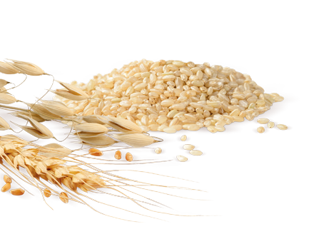 DOLCESENZA Flakes with 100% whole wheat, oats and rice DOLCESENZA Flakes with 100% whole wheat, oats and rice
