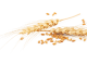 Naturally leavened wholemeal wheat croissant with honey filling