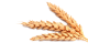 Six cereals biscuits