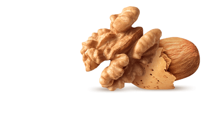 Snacks with nuts and cereals Snacks with nuts and cereals