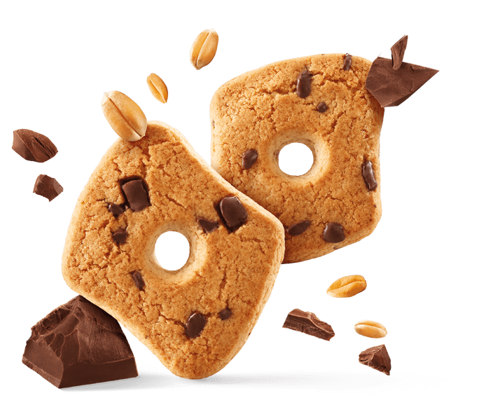 Bicuits with Chocolate chips Bicuits with Chocolate chips