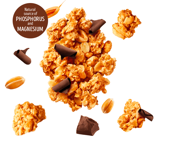 Crunchy muesli Oats, Chocolate and Spelt Crunchy muesli Oats, Chocolate and Spelt