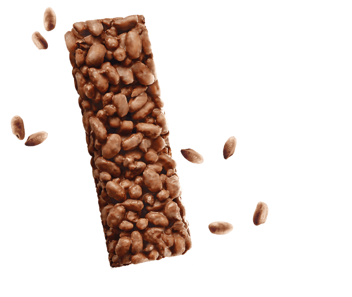 Cocoa snack with Cereal and Cocoa beans Cocoa snack with Cereal and Cocoa beans