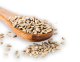 MULTIGRAIN Whole wheat biscuits with crunchy cereals
