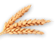 Whole Wheat rusks FIBREXTRA