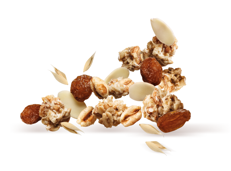 Muesli Croccante Avena e Riso Soffiato MULTIGRAIN Muesli Croccante Avena e Riso Soffiato MULTIGRAIN