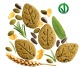 Crunchy snack with Cereals and sunflower seeds