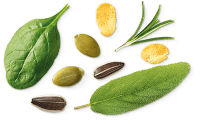 Cereal snack NATURA RICCA Cereal snack NATURA RICCA